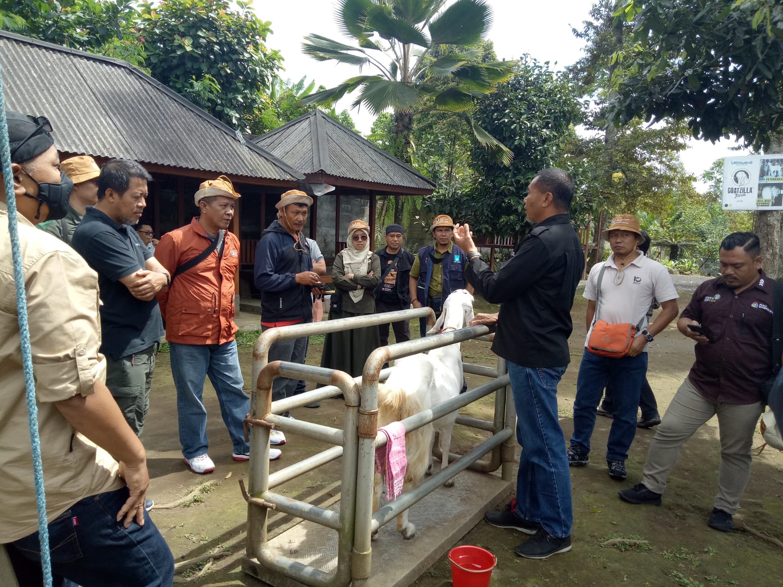 Kunjungan Lapangan PSKL Sulawesi Tengah pada KUPS Siti Sundari, KUPS Sapi Perah, KUPS Ratu Talas, Goatzilla Farm, dan KUD Tani Makmur